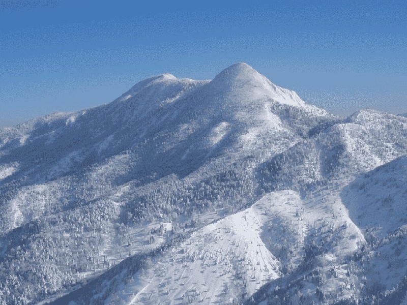 人工试管事故（试管前双方注意）